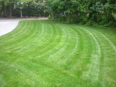 Follow the Sun Landscaping, LLC. Follow the Sun Landscaping, LLC.